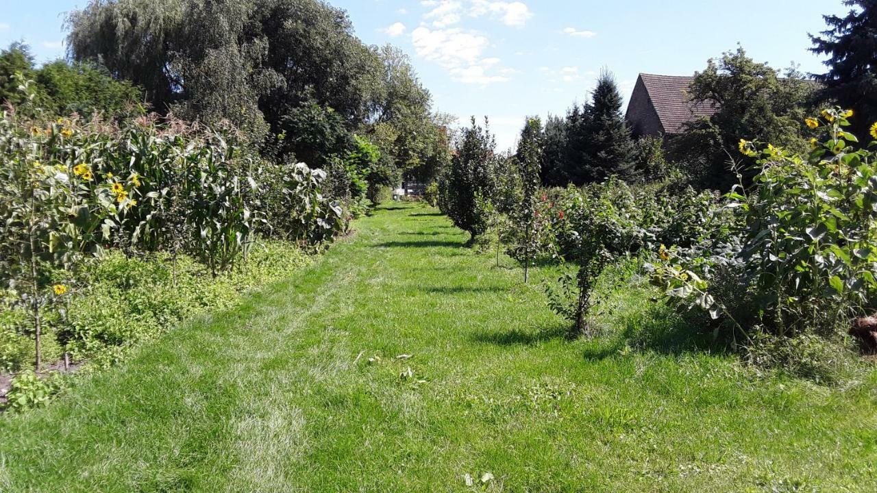 Gaestezimmer Sommer Locktow Exterior photo